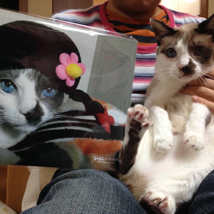 740ed83d 1aeb 4680 819e bf51a498f990