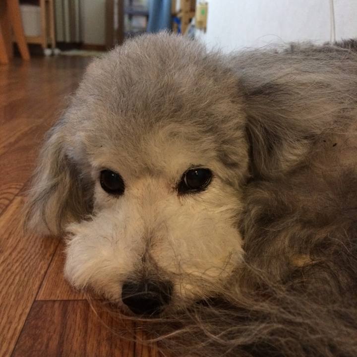 740eed4a e6b9 4647 8549 c28aa495cf1c