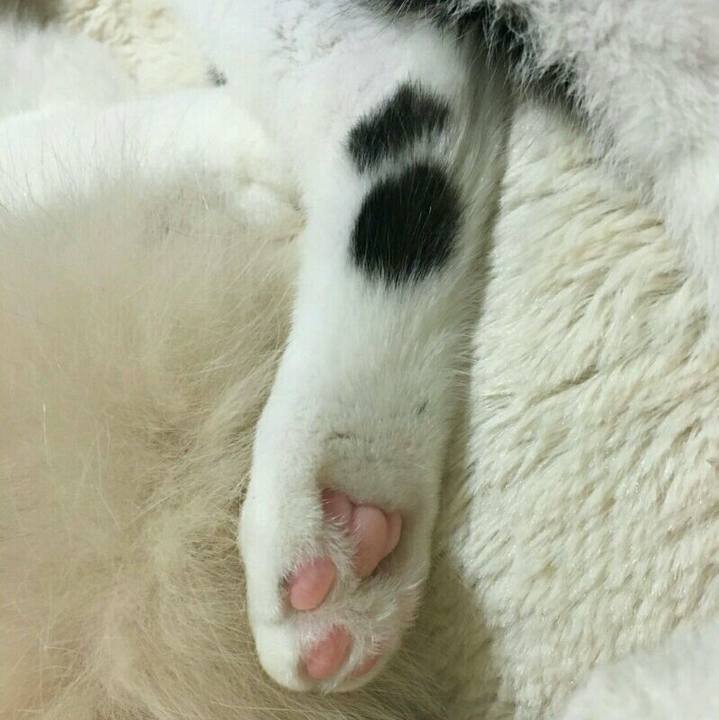 740f1829 7b6d 427f ac12 692cf22d15bc