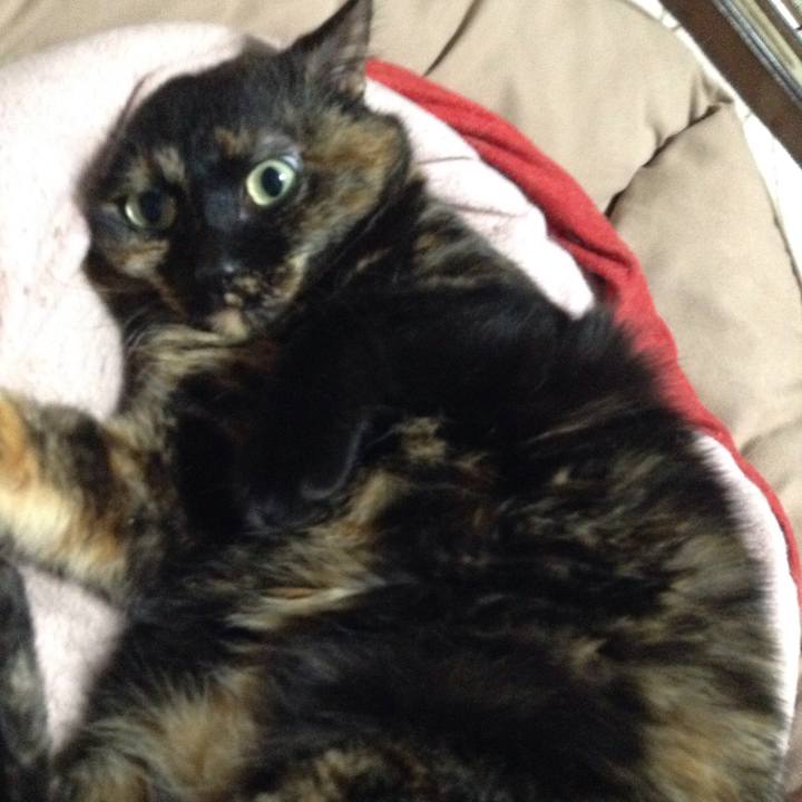 740fbf4e dac8 4e5d 8de2 661c3a450725