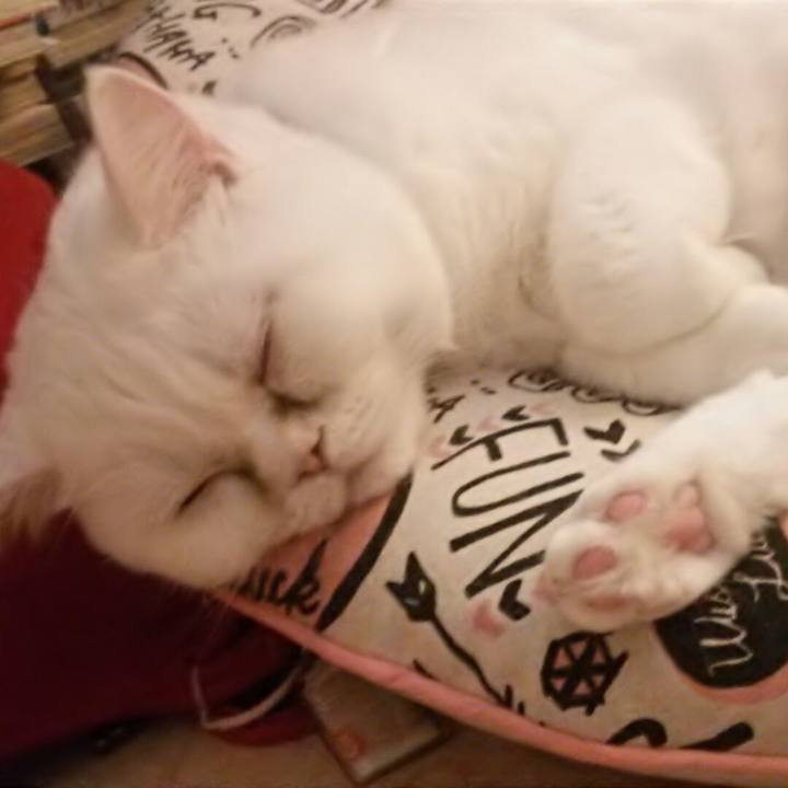 740fc341 2afa 438b 9f38 1a5d94ab61ab