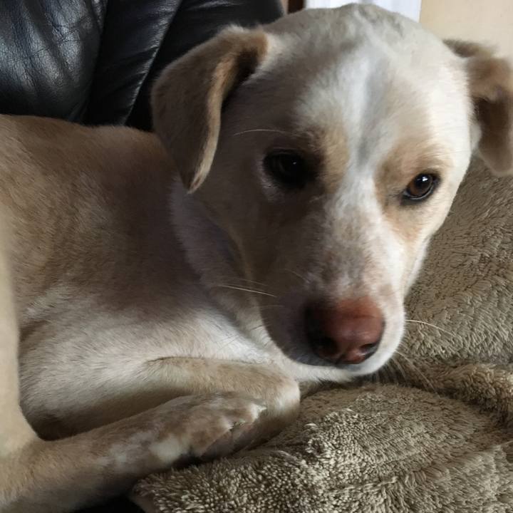 740feee6 4781 4fd2 8df4 7cdf49d70312