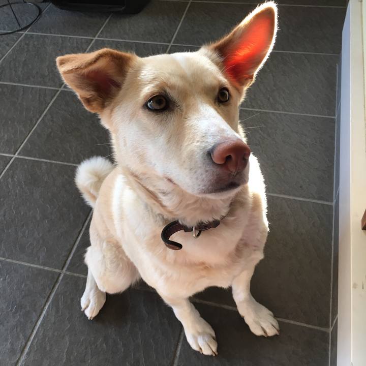 741023d5 b186 4bf8 9fea f6193d768fd9