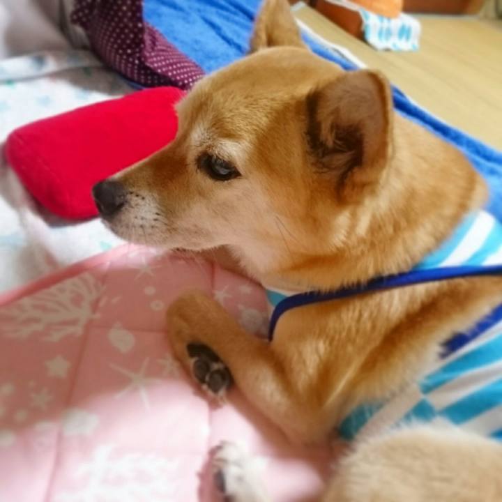 74105dfc 0b00 419e ad14 855884e7d80d