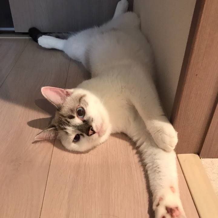 74108f38 0d01 4f7f ae8c 05982efef78b