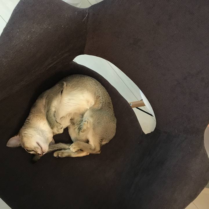 741114e2 2579 4b8a a571 5d1664526c8c