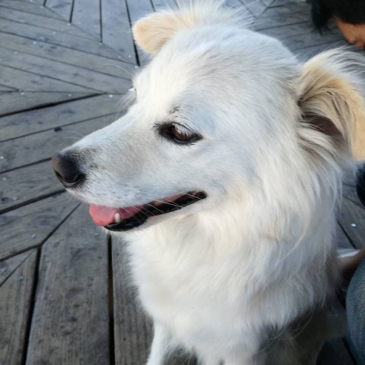 741166d4 4096 4122 baa8 8d5acf52ff82