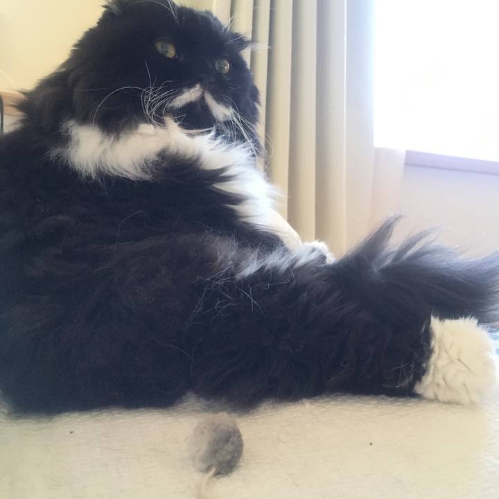 7411ccfd 308b 48f6 af10 9c922667105b