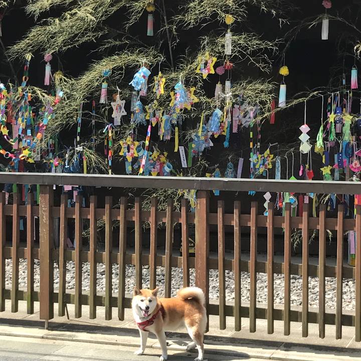 741201c7 985a 47f6 af2d f2b2e1fdc9c0