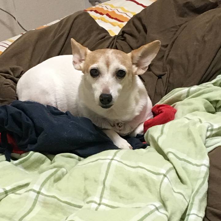 74120936 c615 4c3b 9d0b d6a8b3e2a9f0