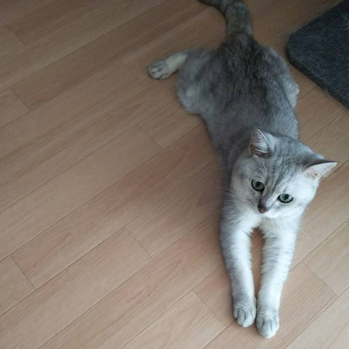 741338ee e0a7 4f20 bf37 168ff248b65f