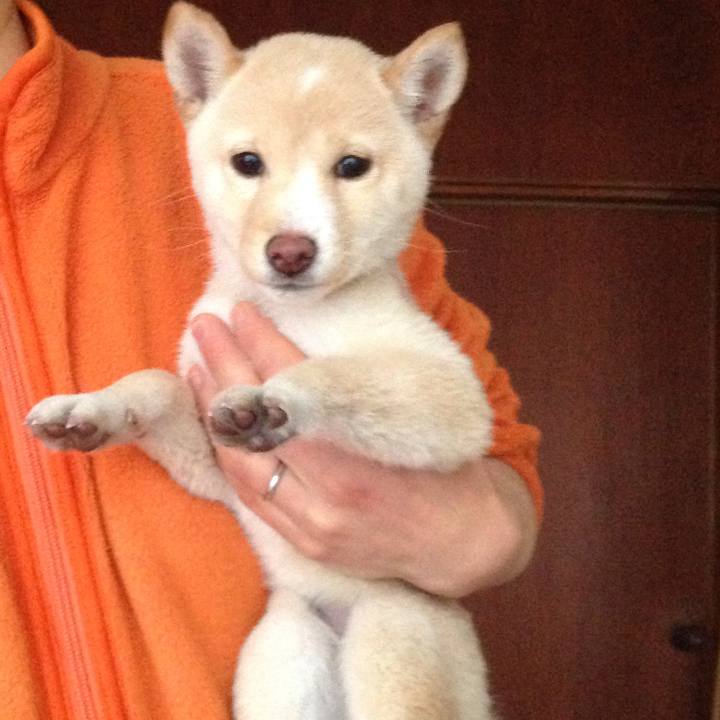 7413f06b 6b32 4744 9394 9bcb3f48d8e8