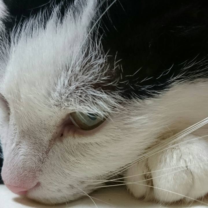 7414f8e5 2958 4e24 944c aa8c7b3fa344