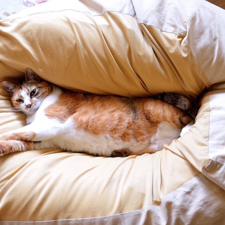 74150daf 19cd 4c57 9a4d d45ffe86b1a5