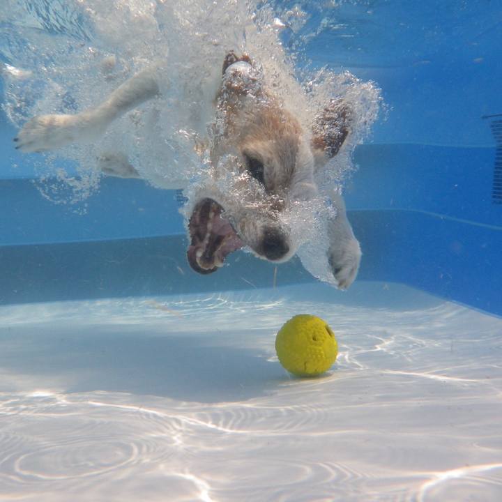 741545e4 b016 47eb 9433 05fed115a016