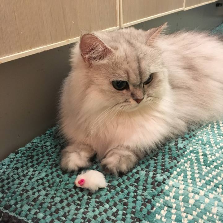 74156722 3cf8 43fc 9636 daad059d8181