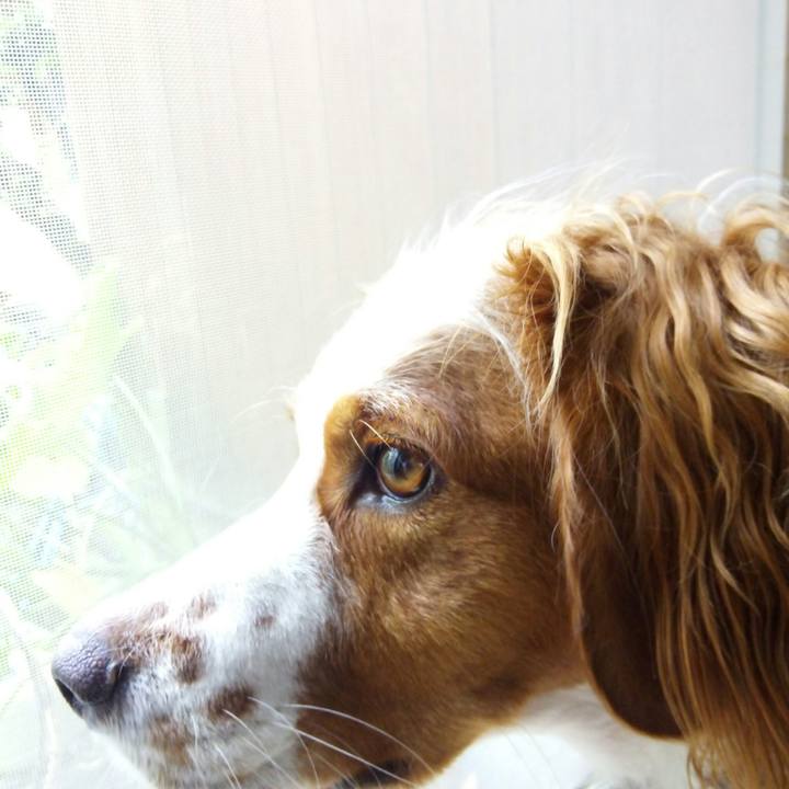 7415b003 7702 4d3f 8232 6fdc42192cc2