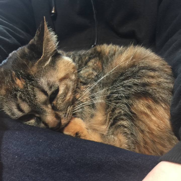 7415b5c9 a867 468c a45f 009be1e29f7e