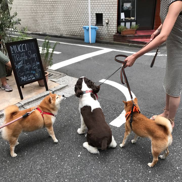 74161c7f d563 44cd aace 408f3ec01286