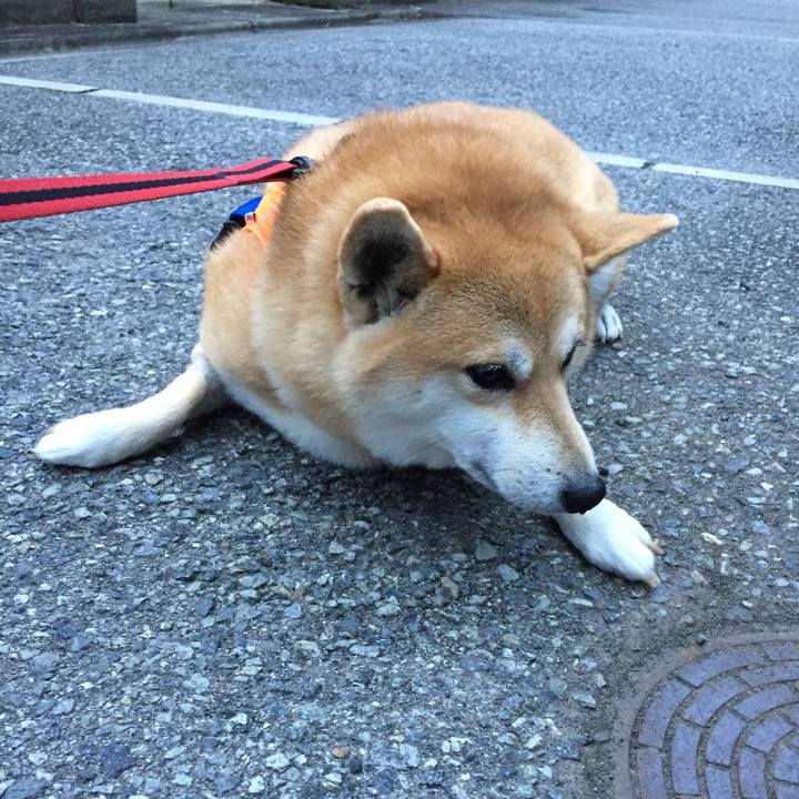 7416202e 4fb4 4e46 ae48 00f8613169fd