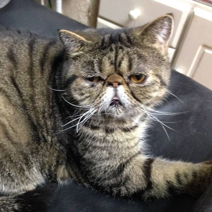 7416ee0e 1b2b 4cb7 93a1 f35cca593799