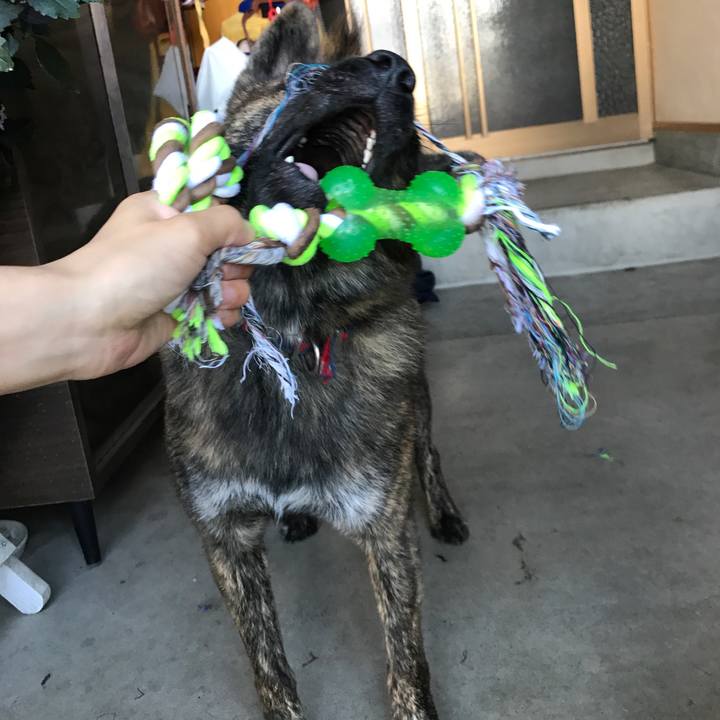 741739c2 abd9 4681 b655 b99504e4d25b