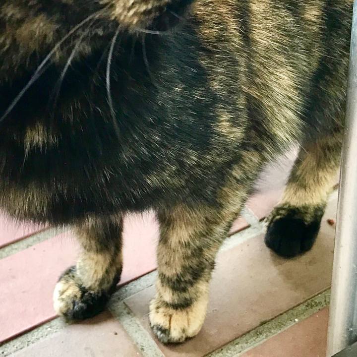 74177979 8518 46f3 9853 4f7d408af662