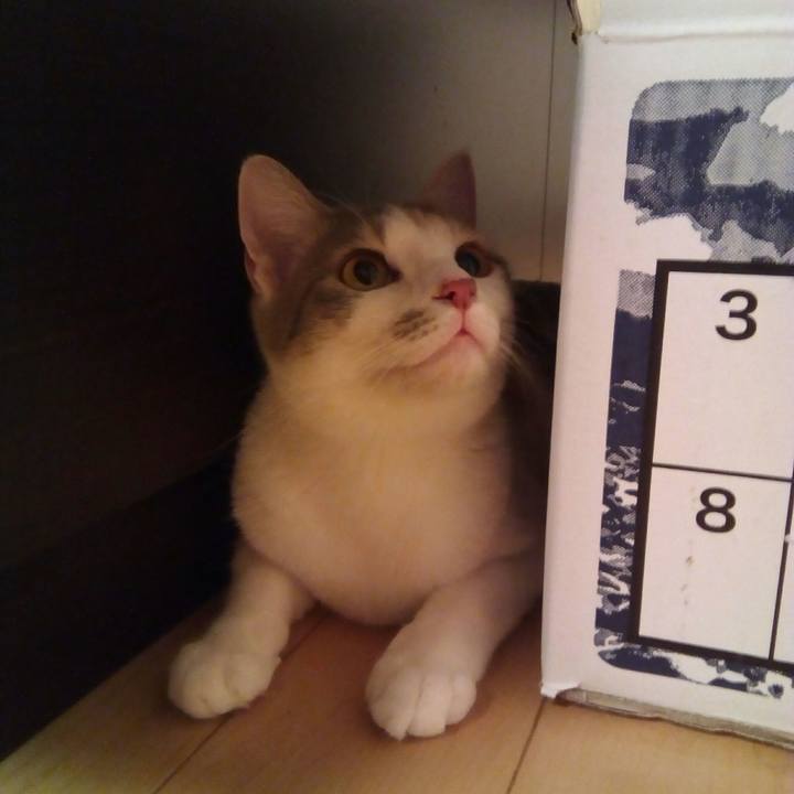 74178e74 8b95 432c b80f f35fe4d11d4c