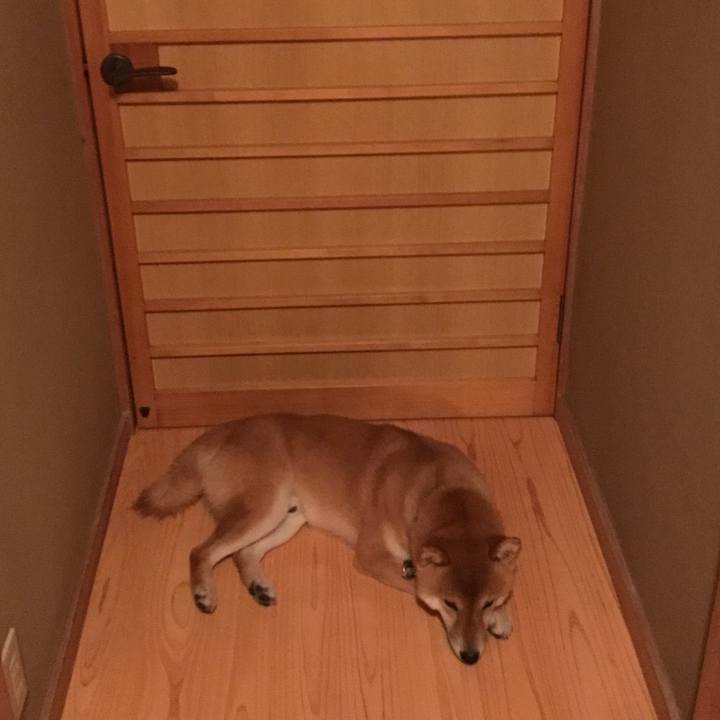 7417a325 af48 4fa4 89ba 7babe10c936a