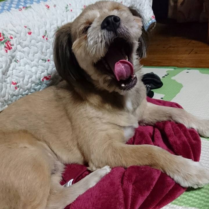 7417da79 c545 4e23 9ea6 206a1b924536