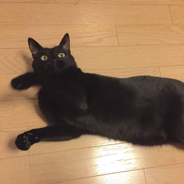 7417e556 8f92 47a9 954e a9fbb70ebd7a