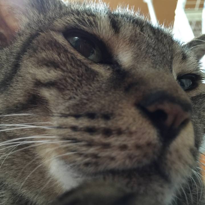 74180b3a f6b7 4416 ba1b e9eb1255716c