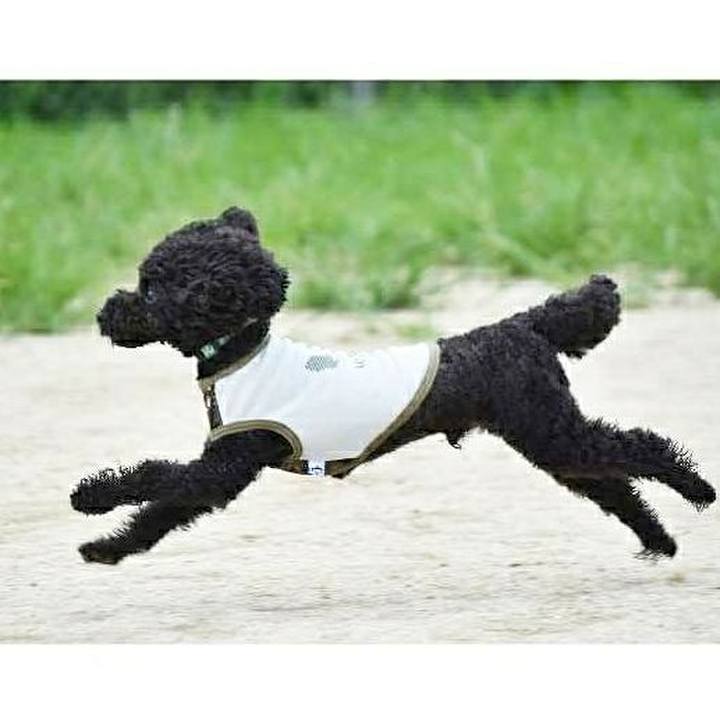 74182125 227b 45ac b818 60f7cd6adb25