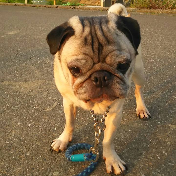 7418acbd 6656 4d60 b80c 6a54c25f8e7e