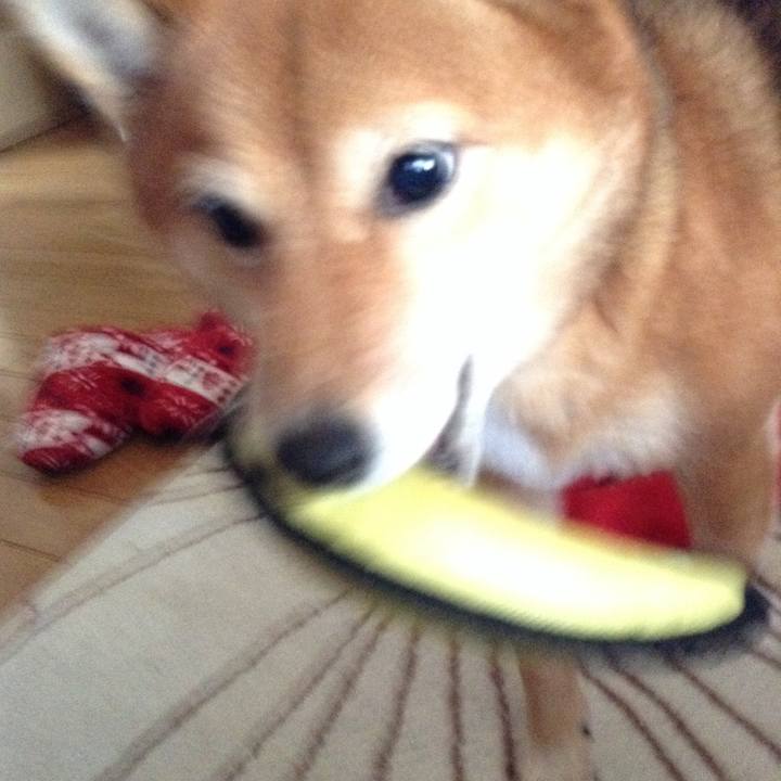 7419167f 811e 47a9 82cf 93222c28dda3