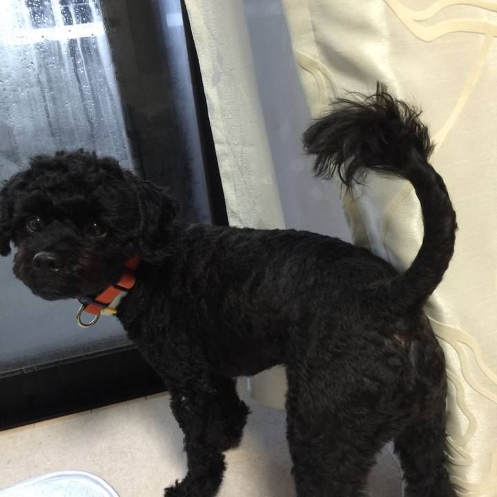 74191e5b 8613 49a4 892f e9563376b8e0