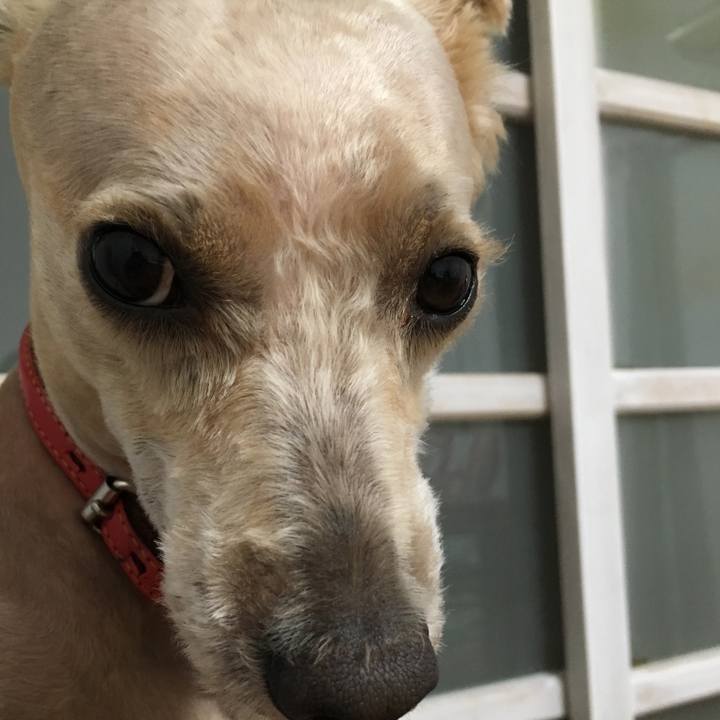 741af077 e9df 4d1b b5cf c5fd8ee3f548