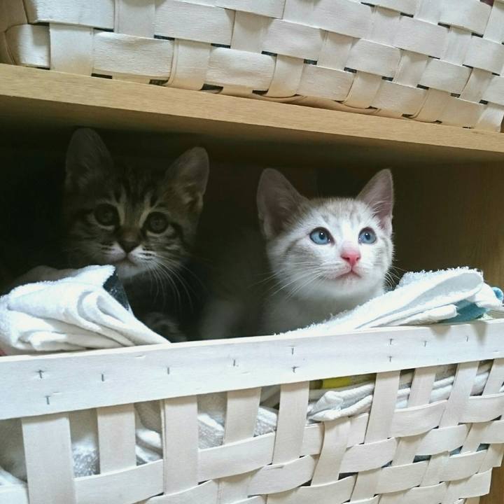 741b0ef4 7eb4 4eeb aa44 ed308e650ca5