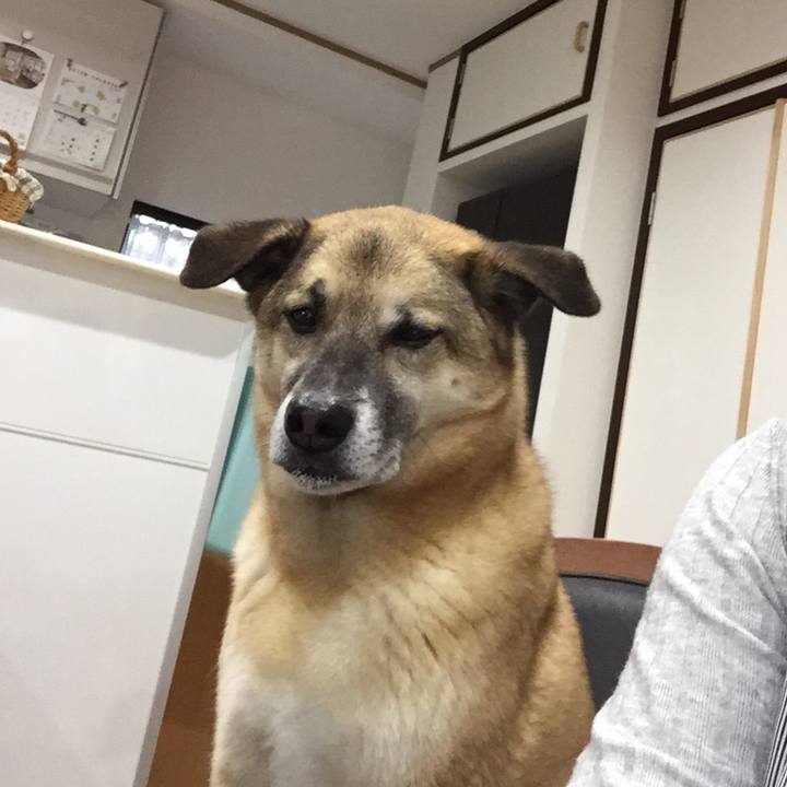 741b180c 690c 4e15 a438 358efeaefd86