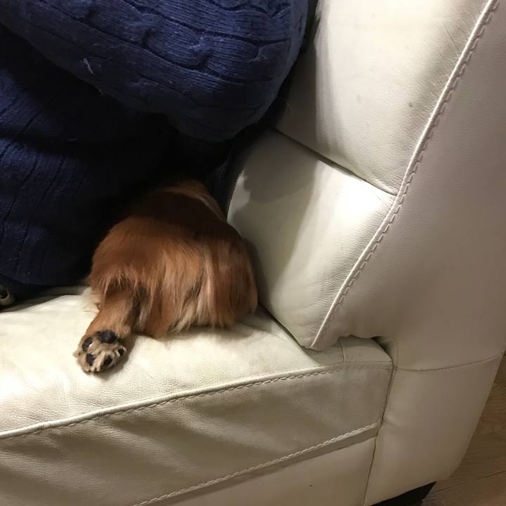 741b3faa fcf1 4e67 b5be 8a18b8204145