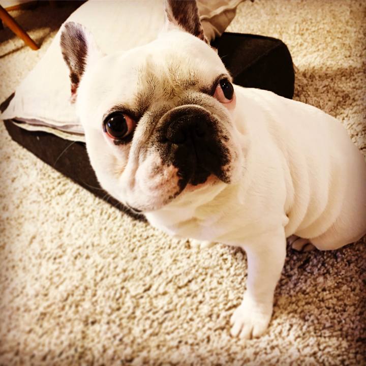 741b75ac deab 4a19 9f79 ebb5192a2ac6