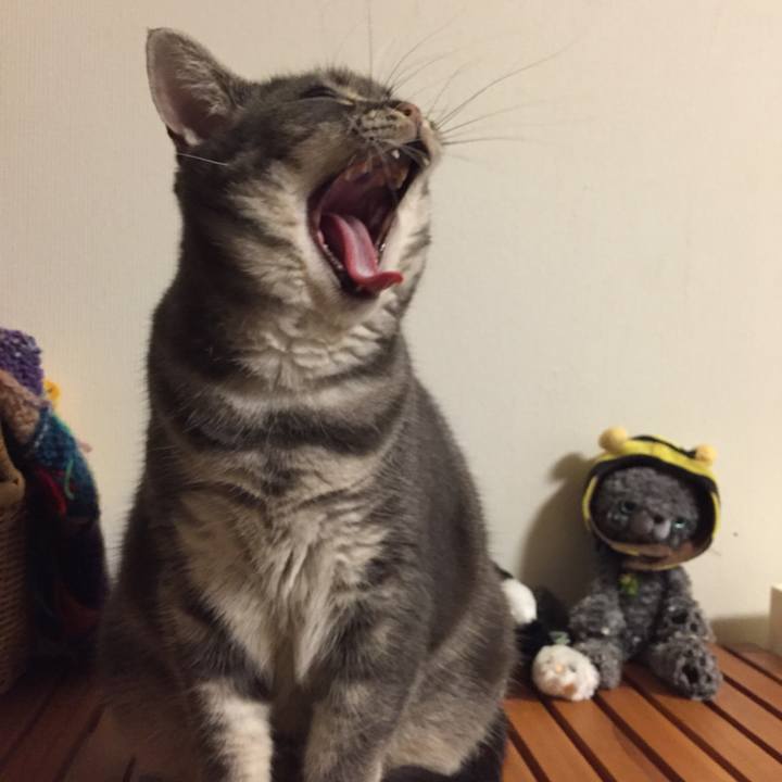 741c203d d0d6 4a10 86f4 1ca570c664ed