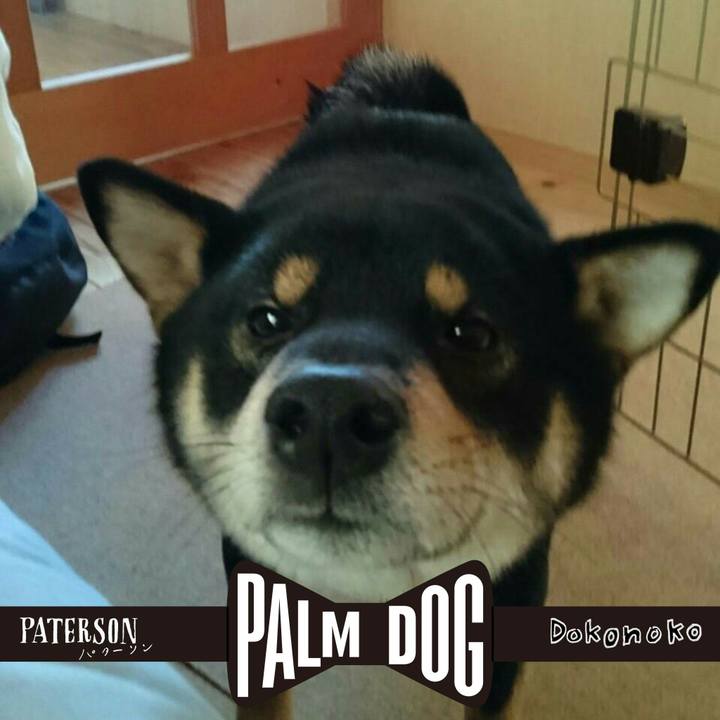 741c5955 f485 4b1f a379 bfcf07a84e46