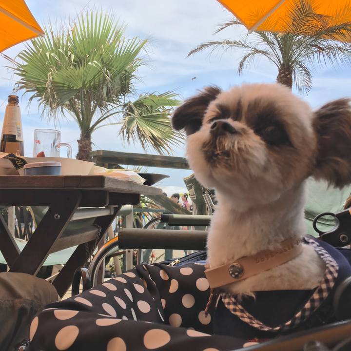 741d0db6 aa5a 4e51 aab1 98446f716c7c