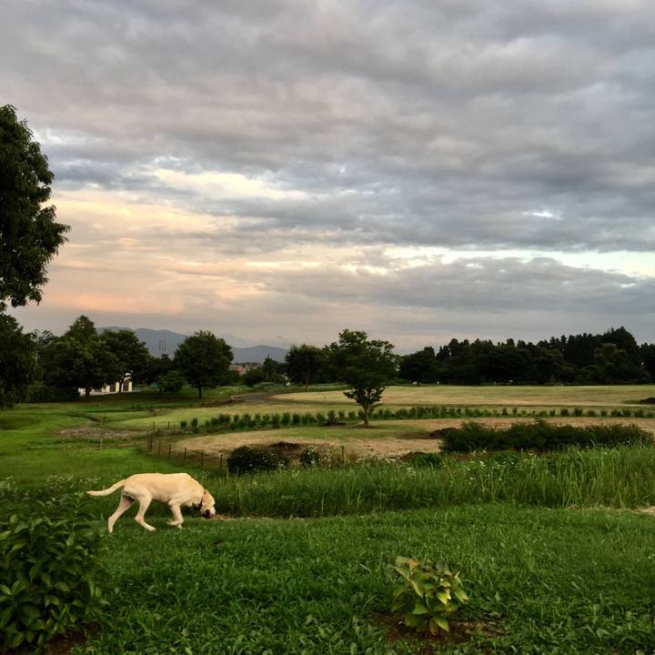 741d4e3c ae8d 486b 87c7 9af7be9c7d41