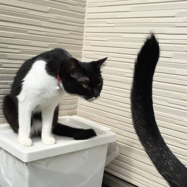 741e3d57 0326 42c7 9514 62117bc60a30