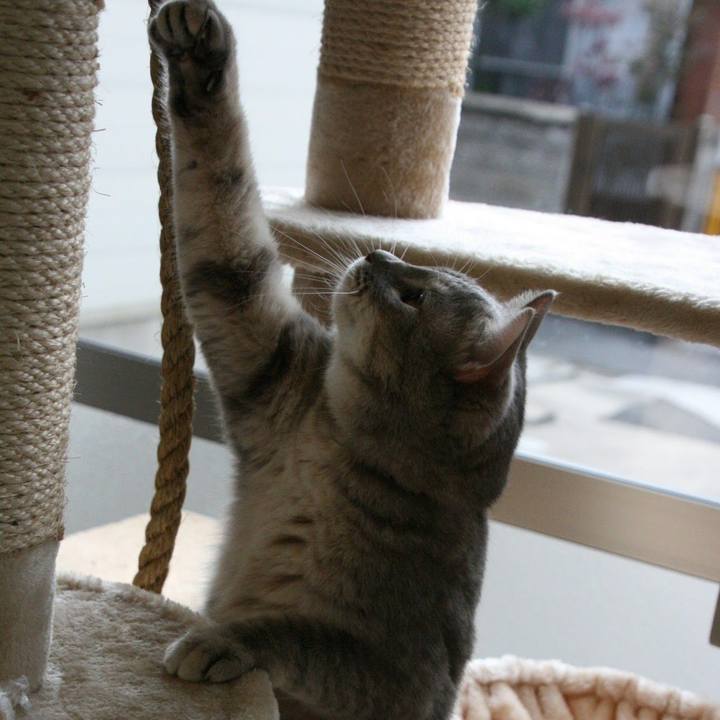 741fa389 ff95 492c a38a 3278de8cc820