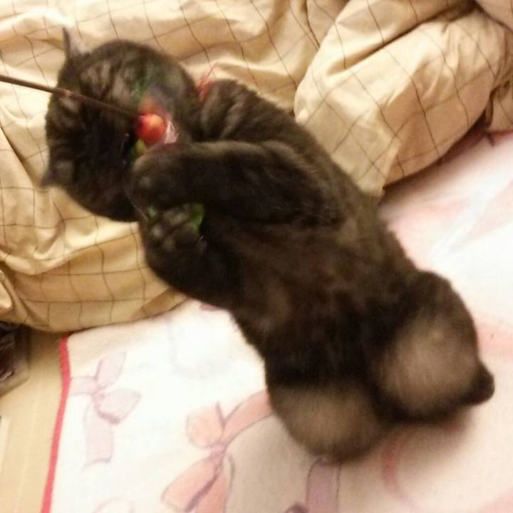 7420752d c3f1 4fc7 82d7 7efcc35417d9