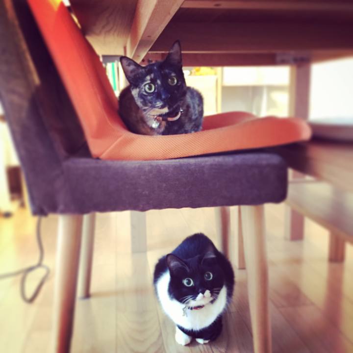 74209ea4 e24e 4584 94c5 65bb12a1df7a