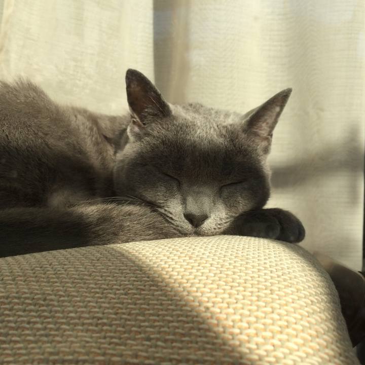 7420bd9a 5004 45b8 b537 ddc9cae21b19